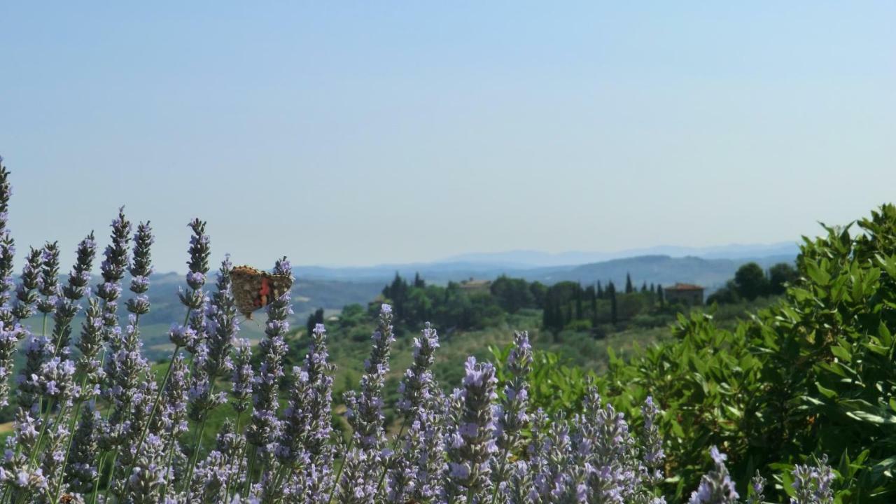 Appartamenti Ava E Tegrino Nell'Antica Dimora Di Fulignano San Gimignano Zewnętrze zdjęcie